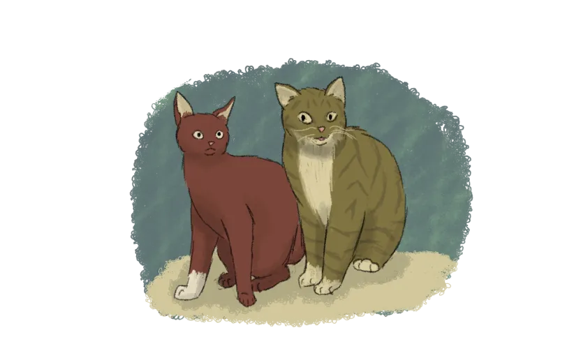 A dark ginger cat with one white forepaw sitting beside a pale tabby cat with a cream belly